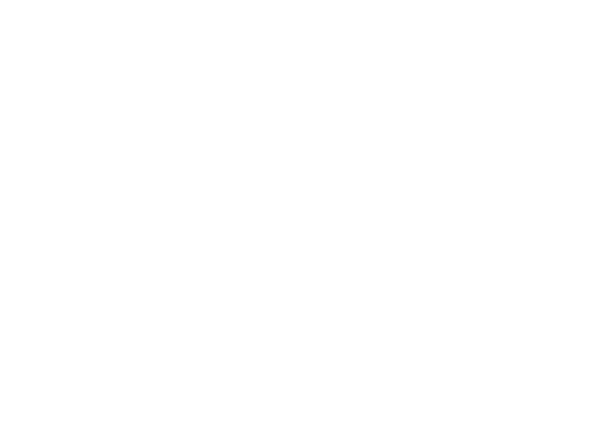 Bei der Aufwertung und Wiederbelebung zum Teil verloren geglaubter Stadtviertel sind die im vdw Sachsen organisierten   